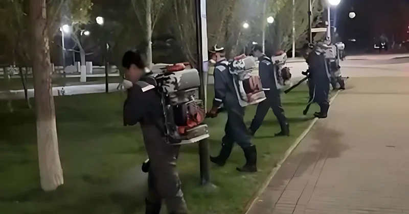 В Астане начался третий тур дезинсекционных работ против комаров: где идёт обработка