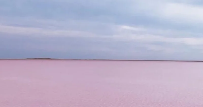 Мемлекет басшысы Көбейтұз көлінің жай күйіне назар аударды