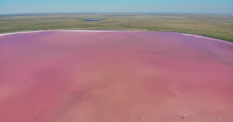 Әйгілі қызғылт Көбейтұз көлі күзетке алынады