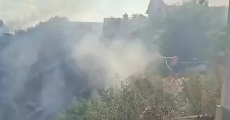 Пожар в овраге подошёл вплотную к частным домам в Алатауском районе Алматы