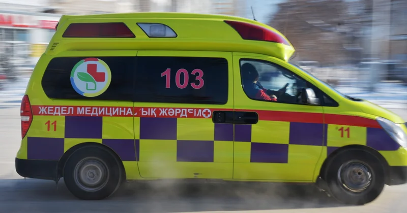 Қарағандыда бұтақ құлап, бес жасар бала қаза тапты