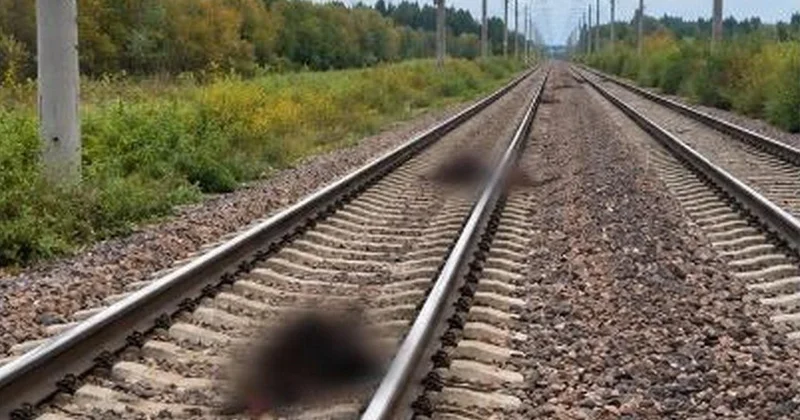 13 голов скота сбил пассажирский поезд в Акмолинской области
