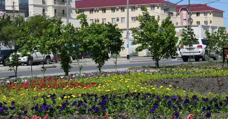 Атырауда кәсіпорындар көгалдандыруға белсенді тартылмақ