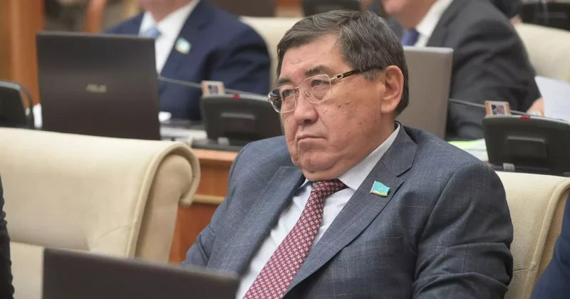 Депутаттар Нұрбол Назарбаевтың әрекетіне шағымданды қосымша тергеу басталды
