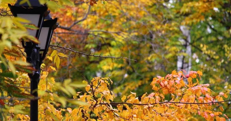 Сменится ли осеннее тепло непогодой в Шымкенте
