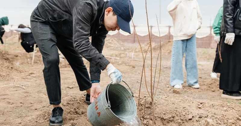 Атырау мектептеріне 250 тал көшеті отырғызылады