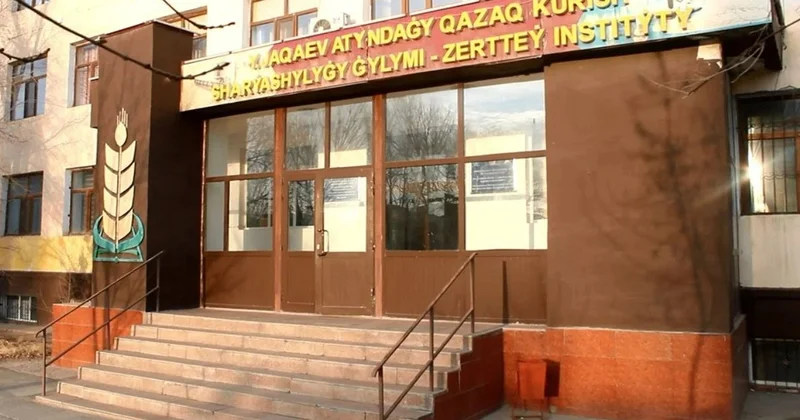 Күріш институты қызметін жетілдіруге қомақты қаржы бөлінеді