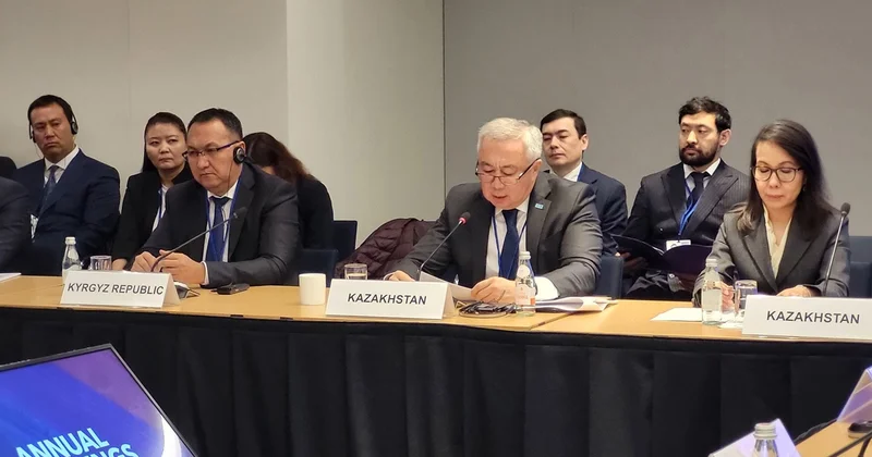 Биыл еліміздің ЖІӨ $310 млрд тан асты Жұманғарин