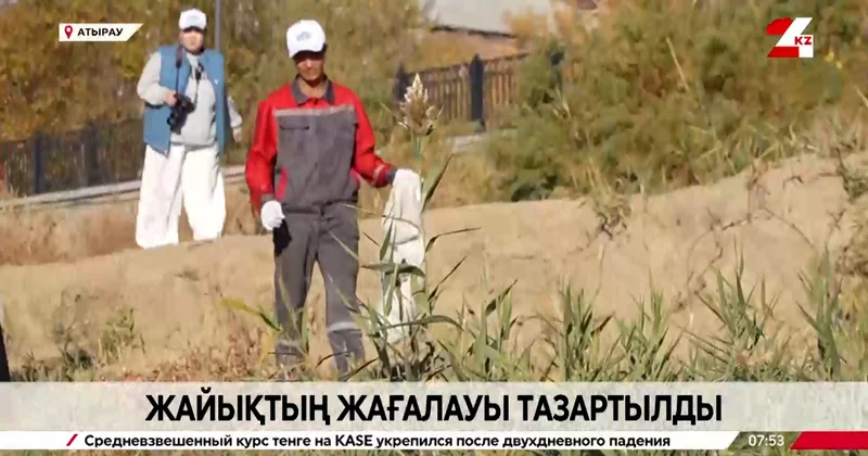 Таза Бейсенбі : Жайық жағалауы тазартылды