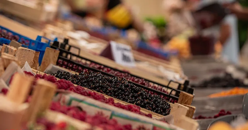 В Астане пройдет ярмарка фермерских продуктов: адрес и время