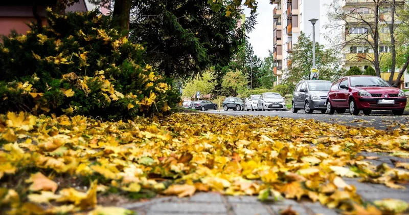 Последние теплые дни: погода в Шымкенте на 17 октября