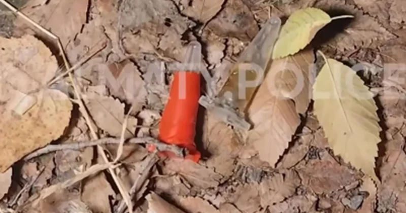 Попытка скрыться от патрульных привела к задержанию в Алматы (видео)