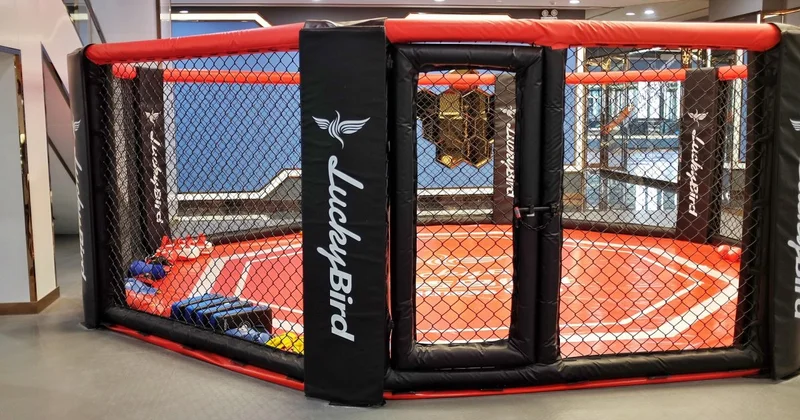 Казахстанский боец UFC призвал страну поддержать его перед большой битвой