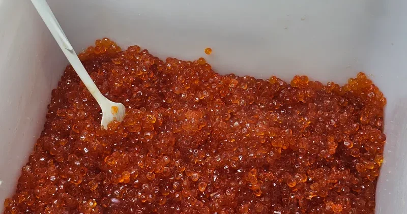 Қазақстанда және ЕАЭО елдерінде қызыл уылдырық таңбаланатын болады