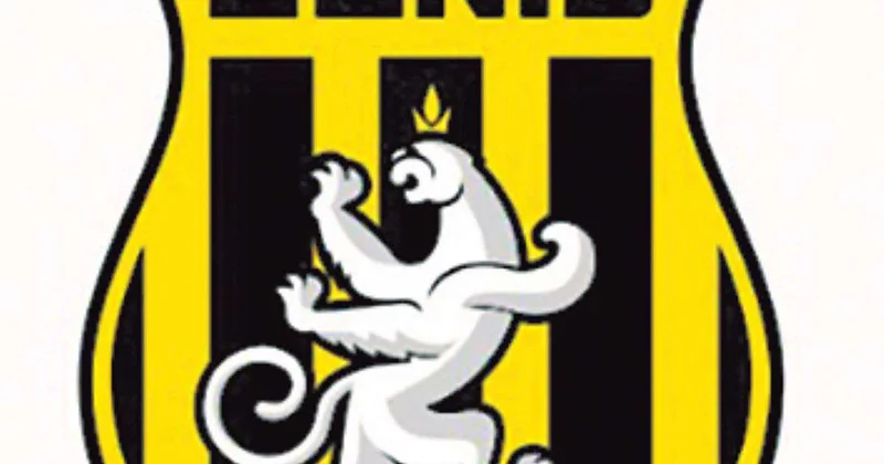 Еще один частный футбольный клуб