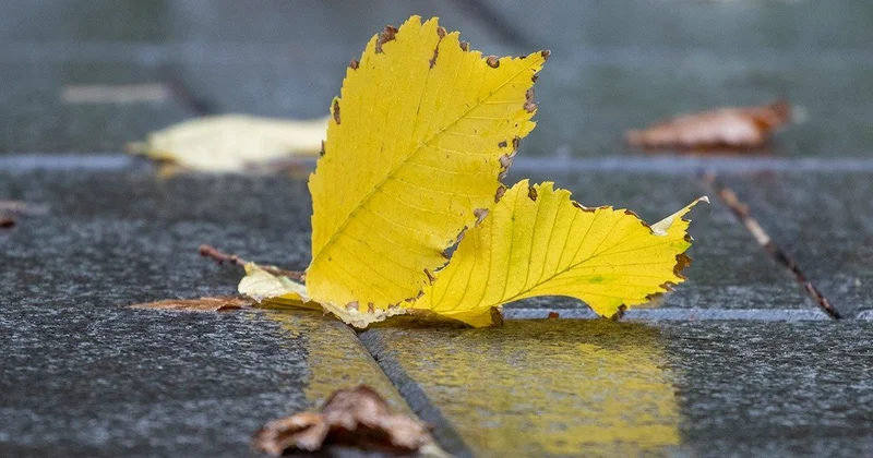 Ветер резко усилится в Шымкенте