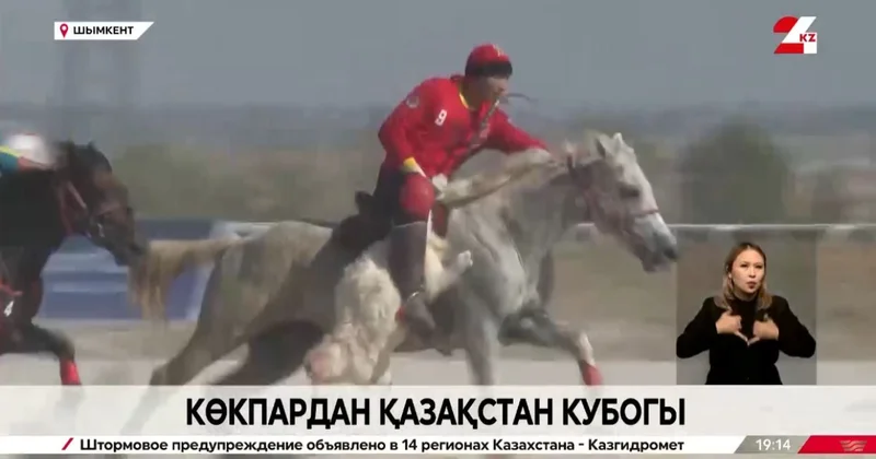 Көкпардан Қазақстан кубогы. Live