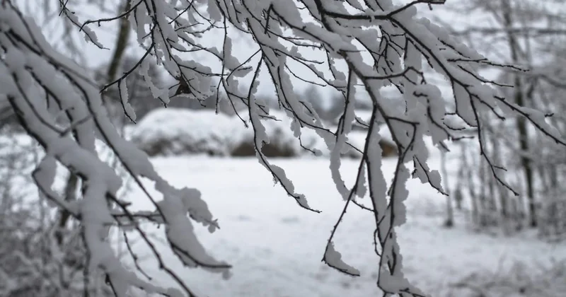 Снег, метель и гололед накроют Казахстан