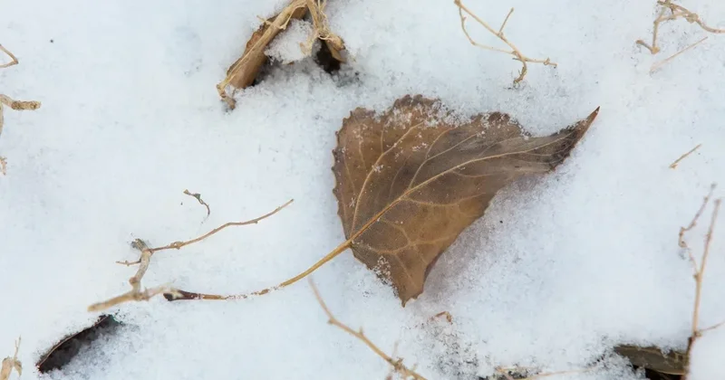 Прогноз погоды в Казахстане на 17 ноября
