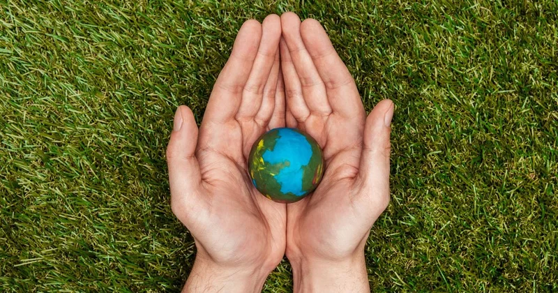 Таза Қазақстан : как всенародное движение превращает заботу об экологии в норму жизни