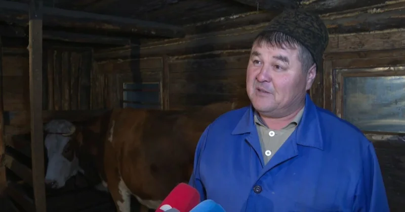 Ақмола облысында 100 ден астам мал дәрігері қажет