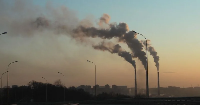 Воздух мегаполиса под давлением: как столица борется с загрязнением и возвращает себе зеленое дыхание