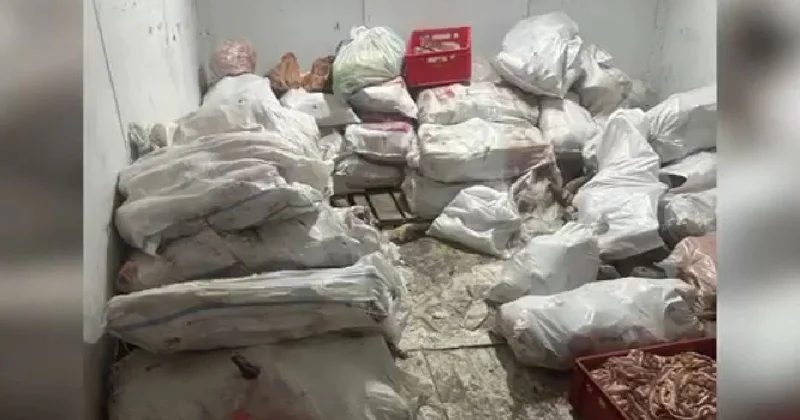 Грубая антисанитария: 3 тонны мяса сомнительного качества нашли в подпольном цехе в Астане
