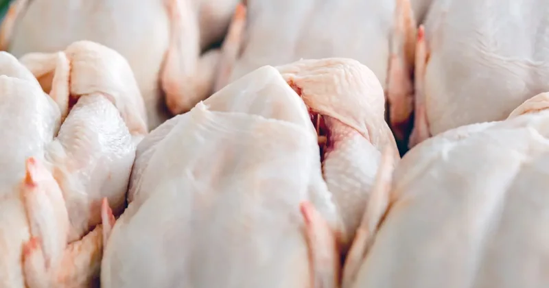 20 тонн мяса птицы пытались незаконно ввезти из России в Казахстан