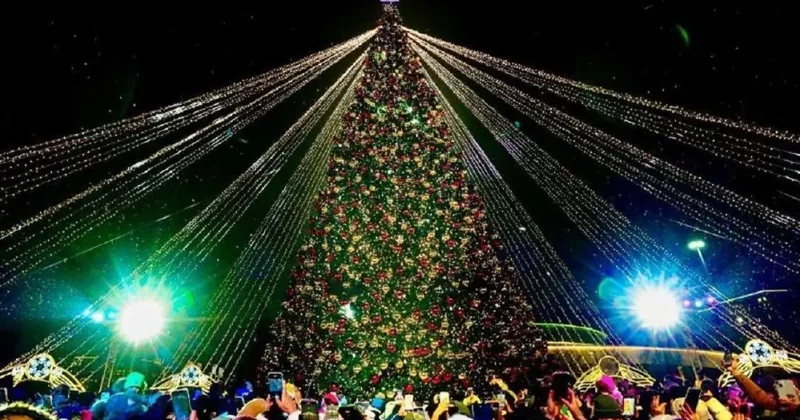 40 новогодних ёлок одновременно зажгутся в Астане