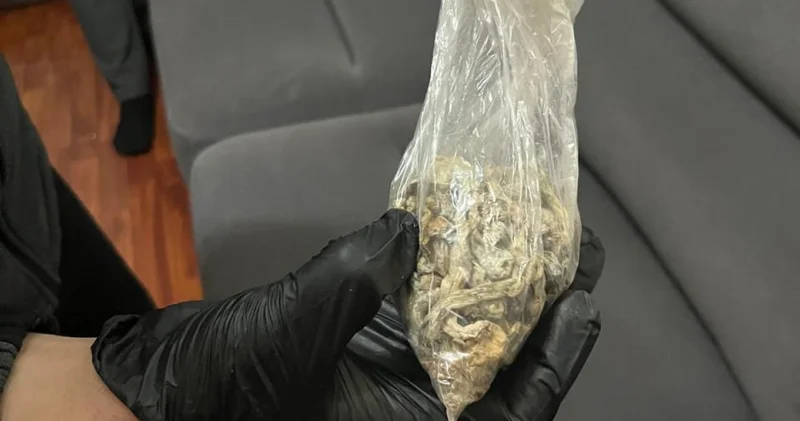 Telegram арқылы жұмыс істеген : қолында психотроптық заты бар ер адам ұсталды