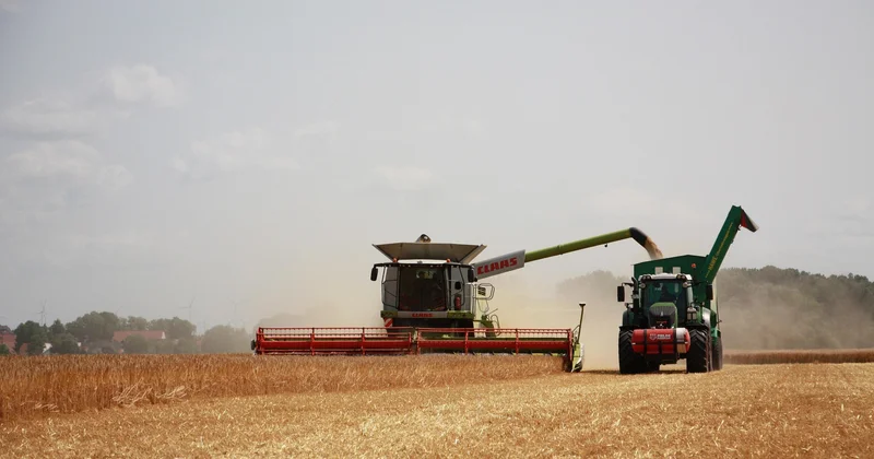 Экспорт зерна из Казахстана увеличился на 34%