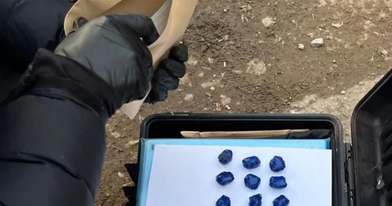 Мужчину с партией волшебных грибов задержали в Костанае