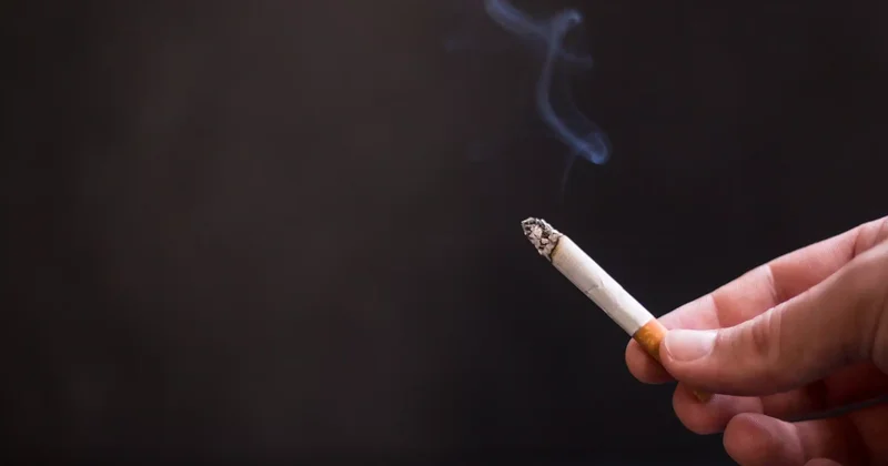 ЕАЭО елдерінің кеден органдары темекінің заңсыз айналымына қарсы күресті күшейтеді