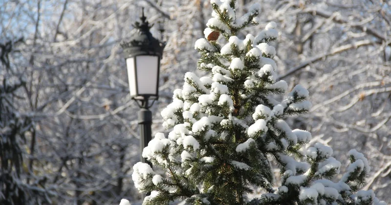Где в ближайшие дни в Казахстане будет снег, а где дождь