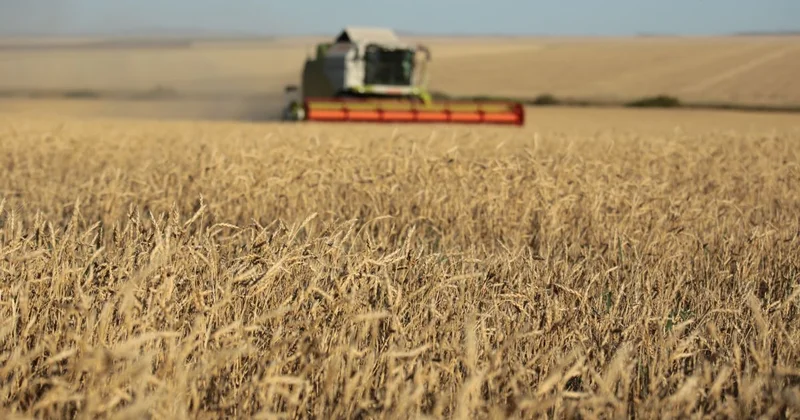 Итоги года: рост казахстанского агросектора составил 6,1%