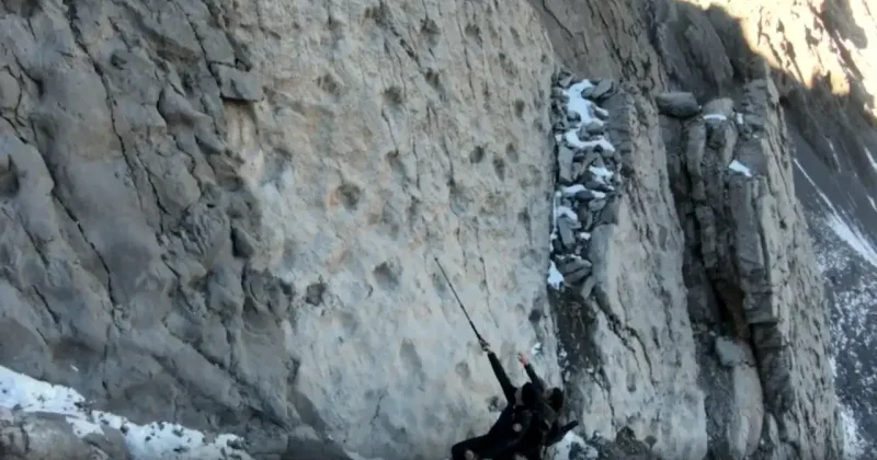 В итальянских горах обнаружены тысячи следов динозавров, которым более 200 млн лет