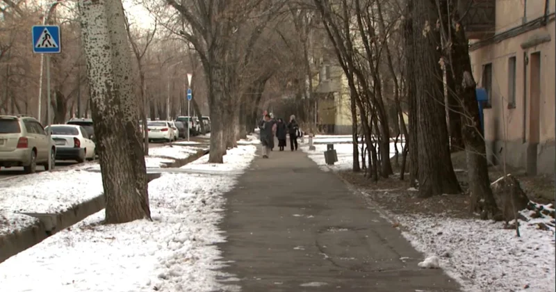 Мәйіттік донордың маңызы қандай? Сауалнама