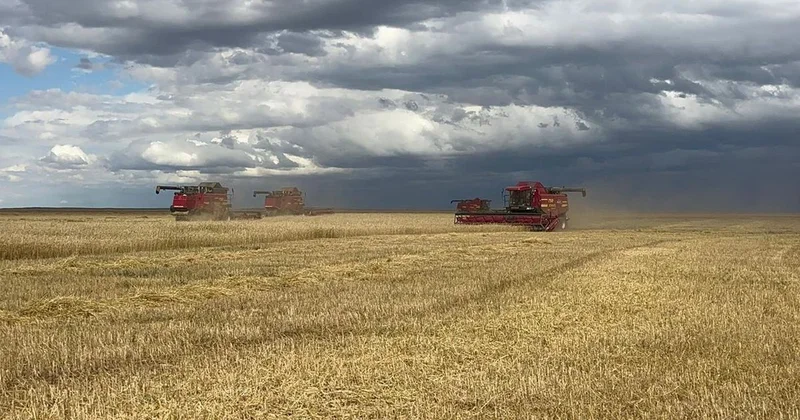 Село растет там, где есть инвестор: как бизнесмен помогает развиваться селу Куншалган