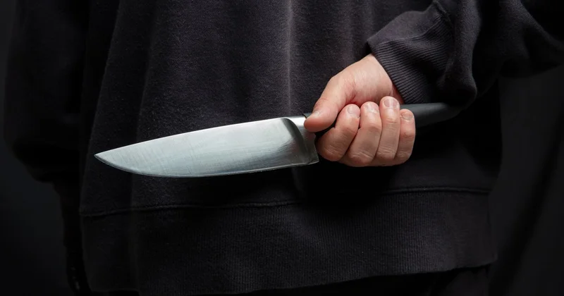 Урок ужаса: подробности убийства в подмосковной школе