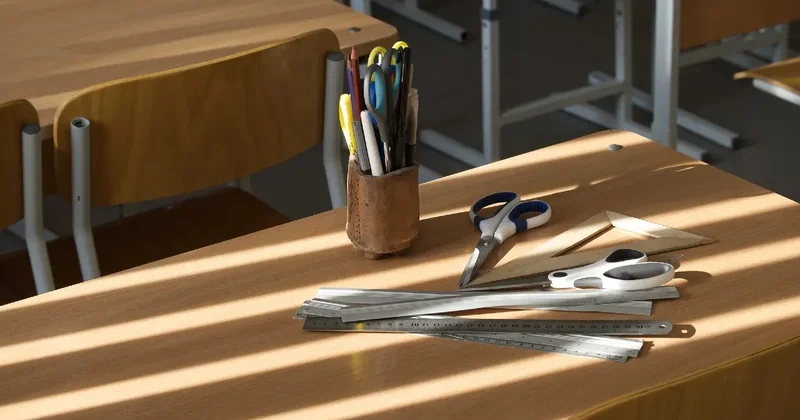 "Вместо денег передали только функции". Мажилисмен раскритиковал программу управления школами