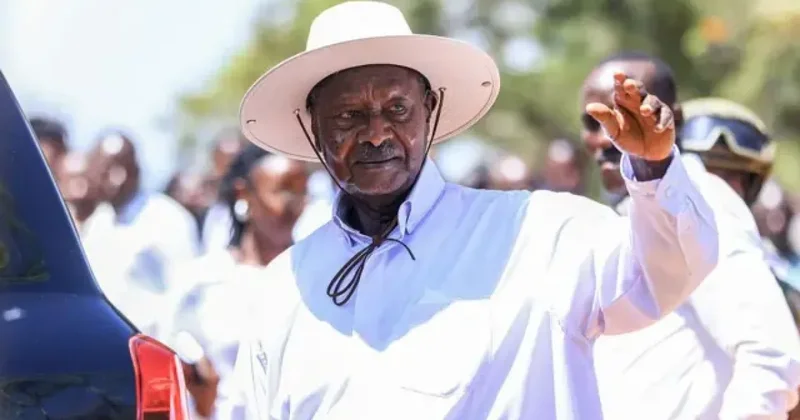 81 летний президент переизбрался в седьмой раз