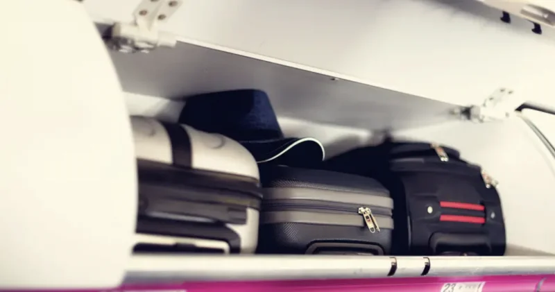 Әуекомпаниялар ұшақта құртты қалай тасымалдау керегін түсіндірді