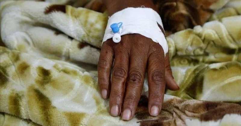 Нигерияда Ласса безгегінің өршуінен 31 адам көз жұмды