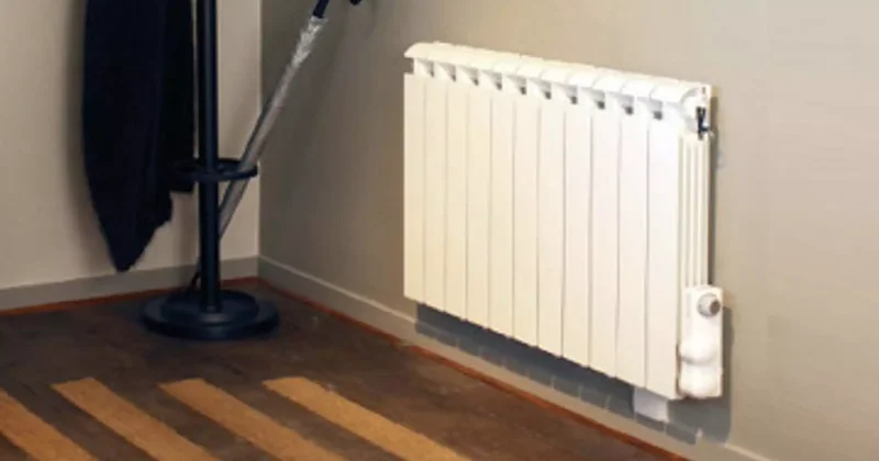 Баласын батареяға байлап ұрған әйел қылмыстық жауапкершіліктен босатылды