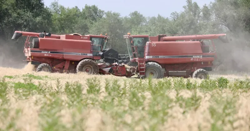 АӨК саласындағы жобаларды несиелеу қағидаларына өзгерістер енгізілді