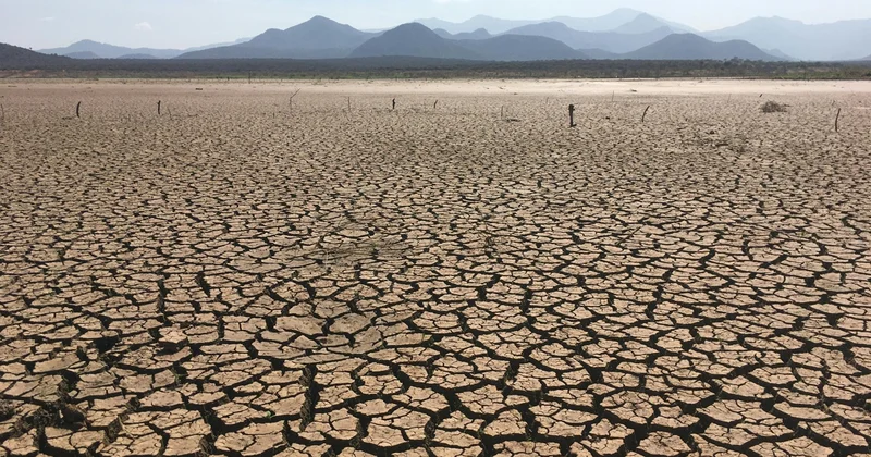 Орталық Азия елдері жер деградациясына қарсы бірлескен шараларды талқылайды