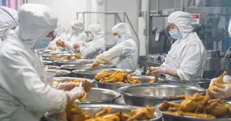 Қытайда кулинарлық жартылай фабрикаттарға алғаш рет мемлекеттік стандарттар енгізілмек
