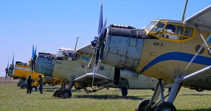 Биыл Павлодар өңірінде шыбын шіркейді улауға дрондар жұмылдырылады