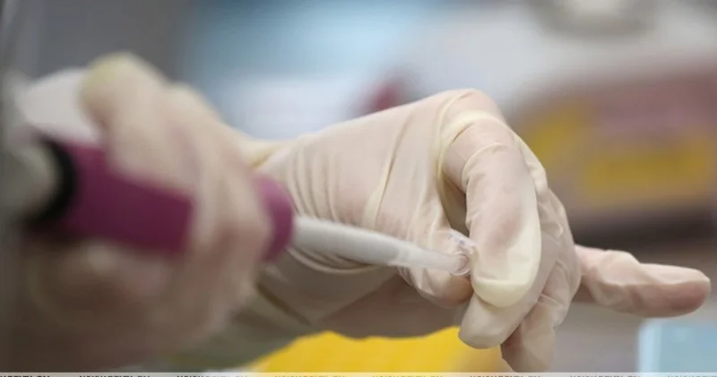 Ғалымдар Еуропаның 29 елінде чикунгунья вирусының таралу қаупі бар екенін ескертті