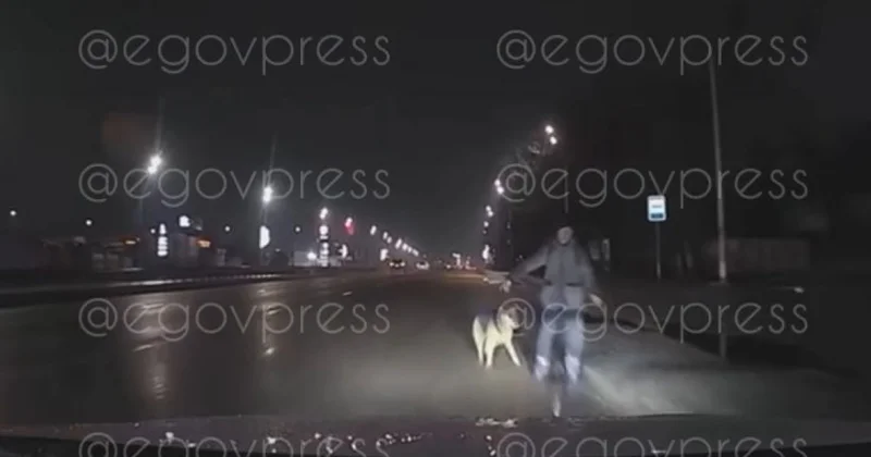 Военнослужащий сбил пешехода с собакой в Алматы (ВИДЕО)